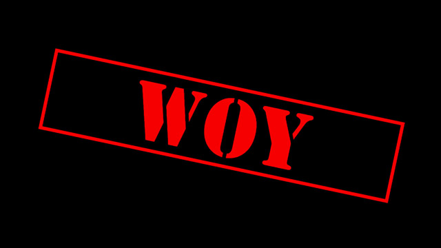 Image avec le pseudo Woy dessus, utilisée comme transition